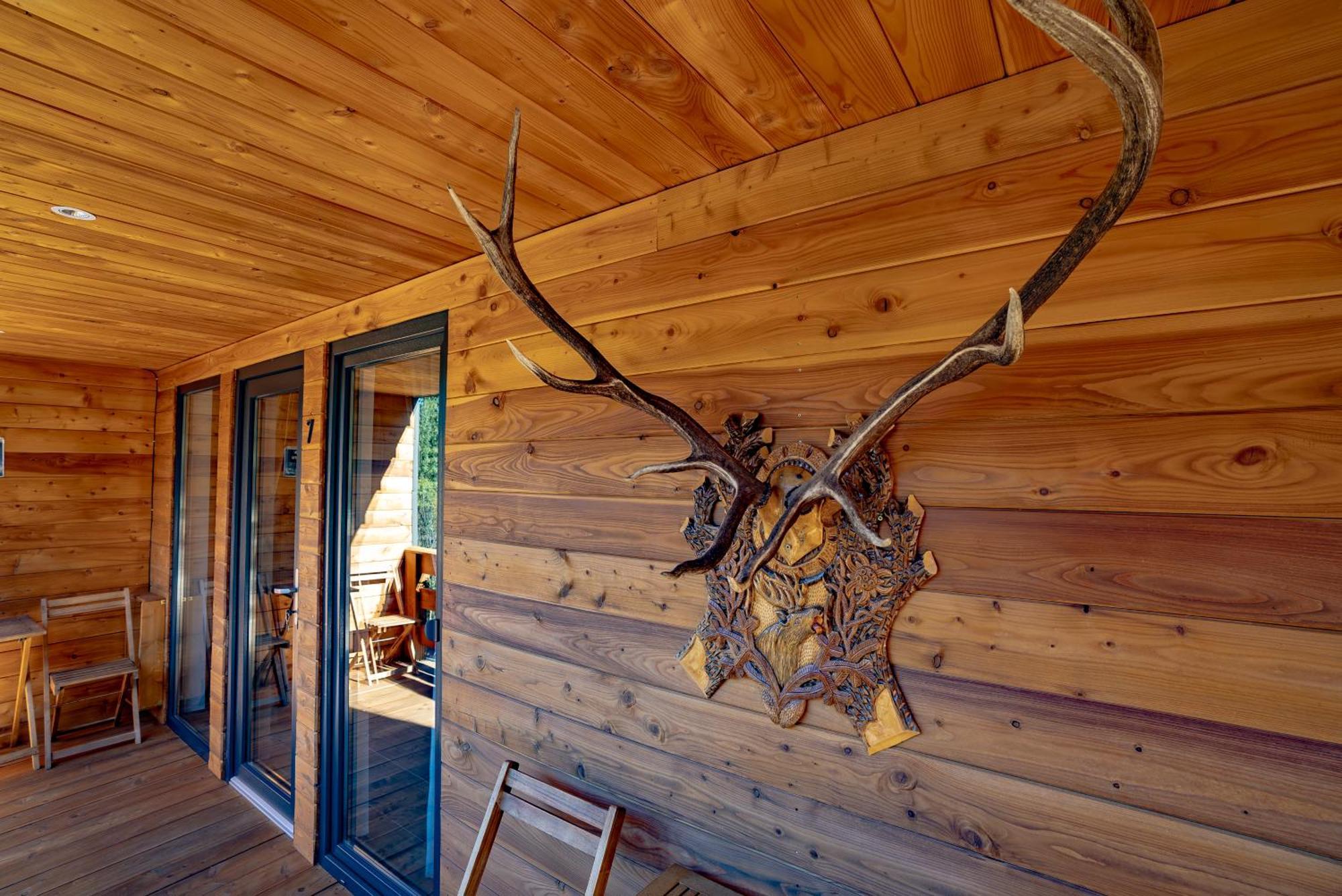 Bed and Breakfast Casa Izvorul Negru Мойсей Экстерьер фото